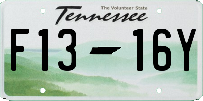 TN license plate F1316Y