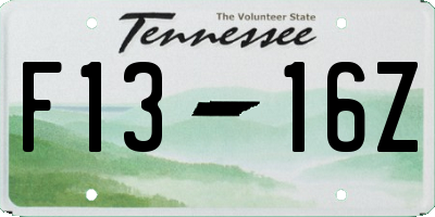 TN license plate F1316Z