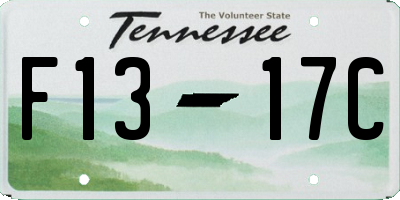 TN license plate F1317C
