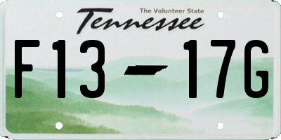 TN license plate F1317G