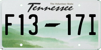 TN license plate F1317I