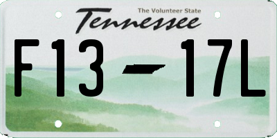 TN license plate F1317L