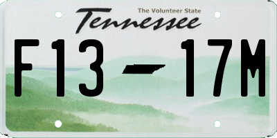 TN license plate F1317M
