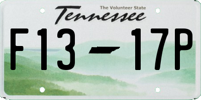 TN license plate F1317P