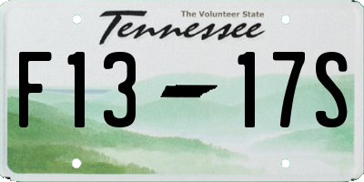 TN license plate F1317S