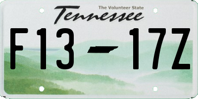 TN license plate F1317Z