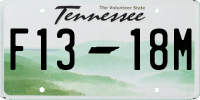 TN license plate F1318M