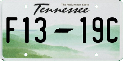 TN license plate F1319C