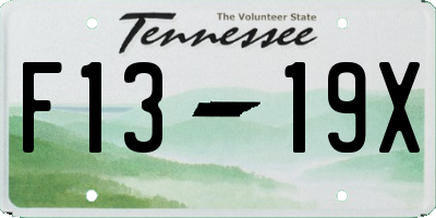 TN license plate F1319X