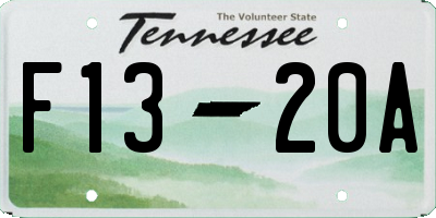 TN license plate F1320A