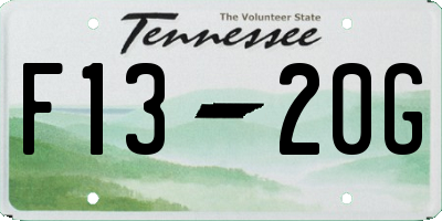 TN license plate F1320G