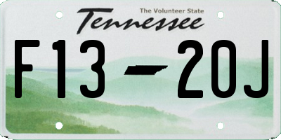 TN license plate F1320J