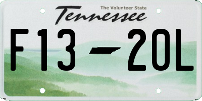 TN license plate F1320L