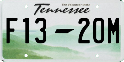 TN license plate F1320M