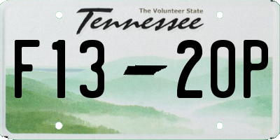 TN license plate F1320P