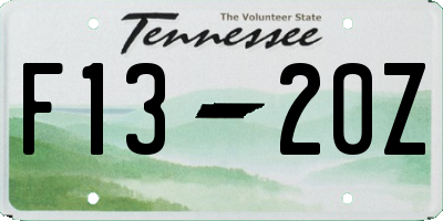 TN license plate F1320Z