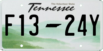 TN license plate F1324Y