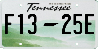 TN license plate F1325E