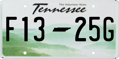 TN license plate F1325G