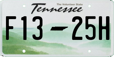 TN license plate F1325H
