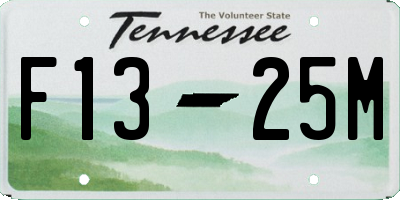 TN license plate F1325M