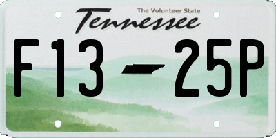 TN license plate F1325P