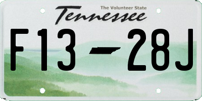 TN license plate F1328J