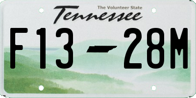 TN license plate F1328M