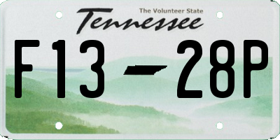 TN license plate F1328P