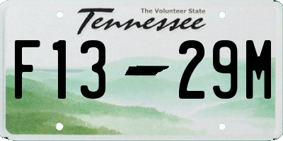 TN license plate F1329M