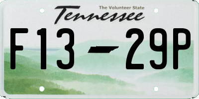 TN license plate F1329P
