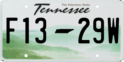 TN license plate F1329W