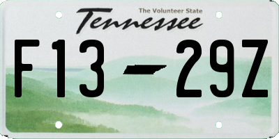 TN license plate F1329Z
