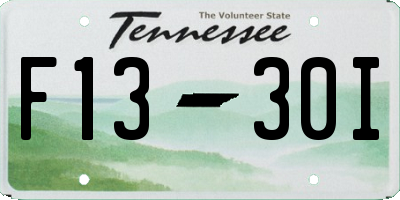TN license plate F1330I
