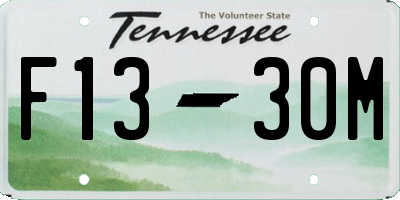 TN license plate F1330M