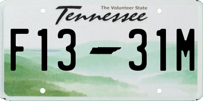 TN license plate F1331M