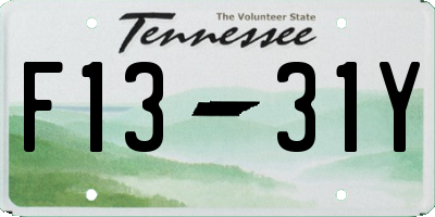 TN license plate F1331Y