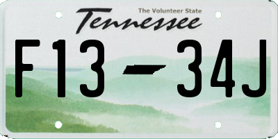 TN license plate F1334J
