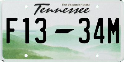 TN license plate F1334M