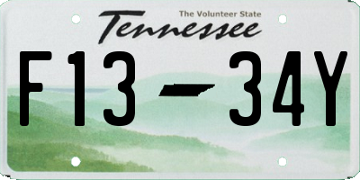 TN license plate F1334Y