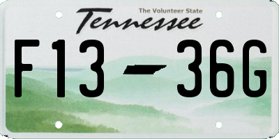 TN license plate F1336G