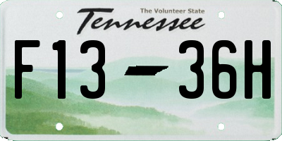 TN license plate F1336H