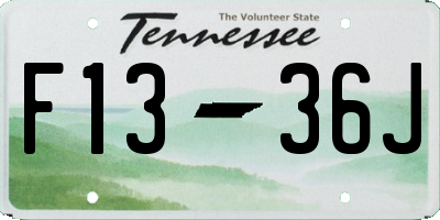 TN license plate F1336J