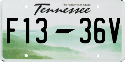 TN license plate F1336V
