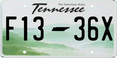 TN license plate F1336X