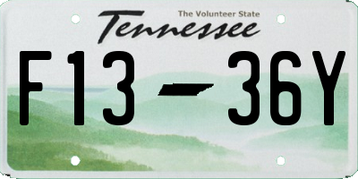 TN license plate F1336Y