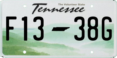 TN license plate F1338G
