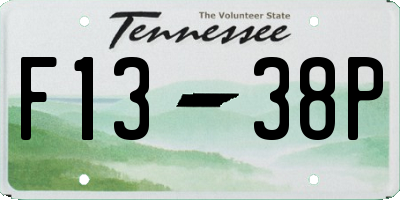 TN license plate F1338P