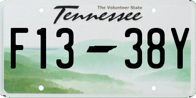 TN license plate F1338Y