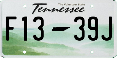 TN license plate F1339J